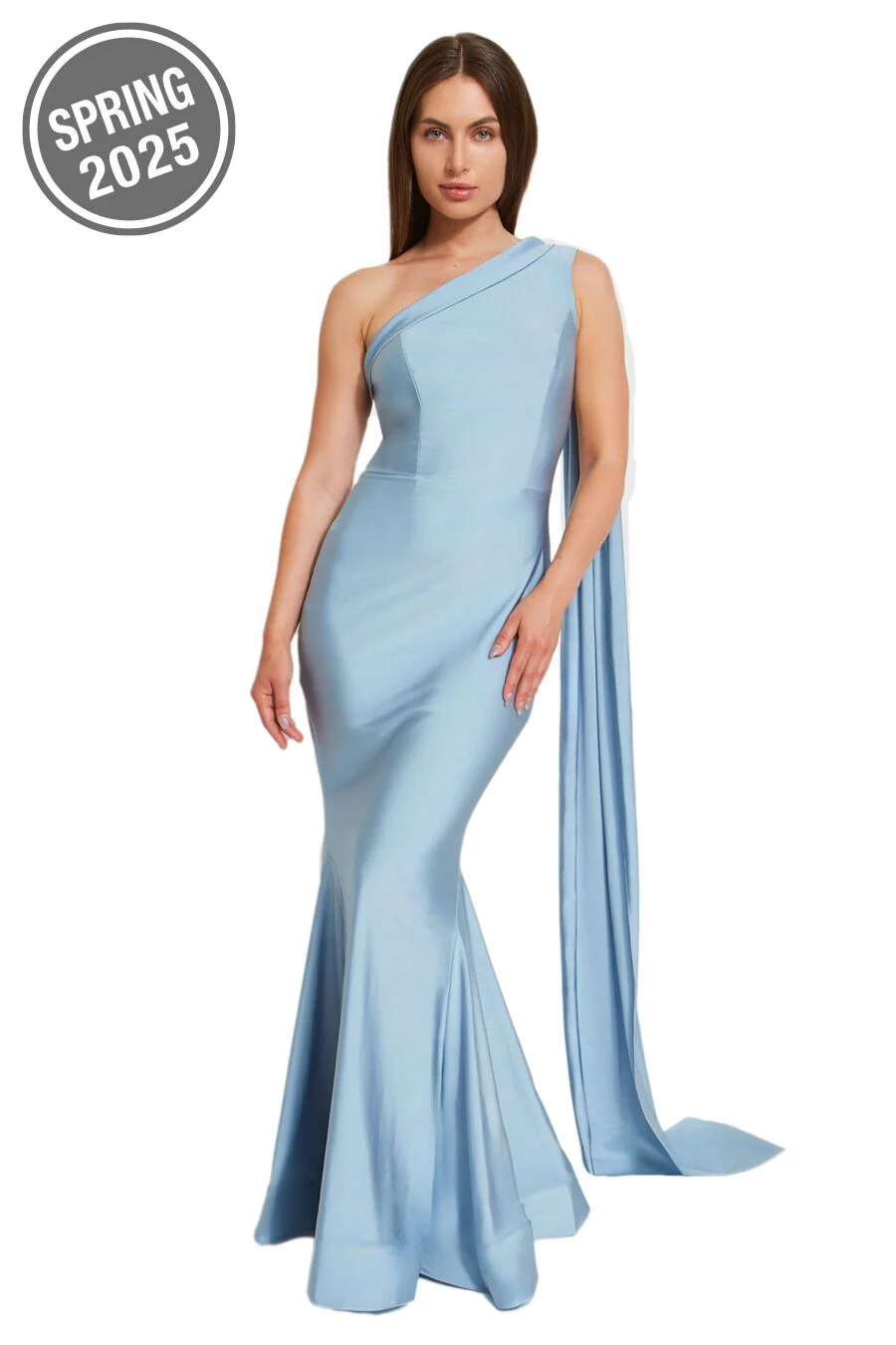 Bari Jay Bridesmaid Dress 2513