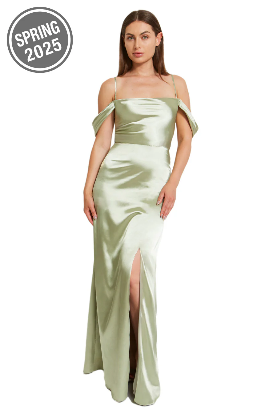 Bari Jay Bridesmaid Dress 2519